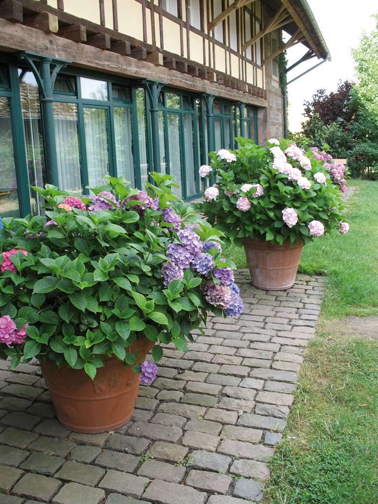 Der Linslerhof - Hotel, Restaurant, Events & Natur Uberherrn ภายนอก รูปภาพ