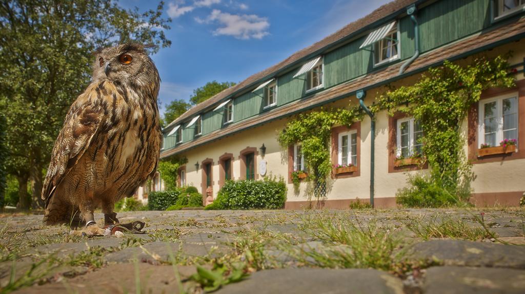Der Linslerhof - Hotel, Restaurant, Events & Natur Uberherrn ภายนอก รูปภาพ